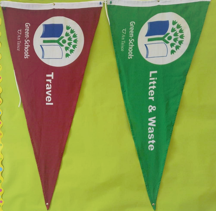 Green Schools Flag Sandylane NS